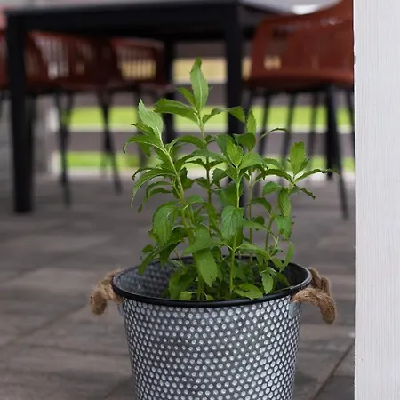 펜션 Wielka Woda Dywan