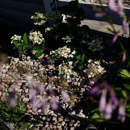 Wielka Woda 펜션 Dywan