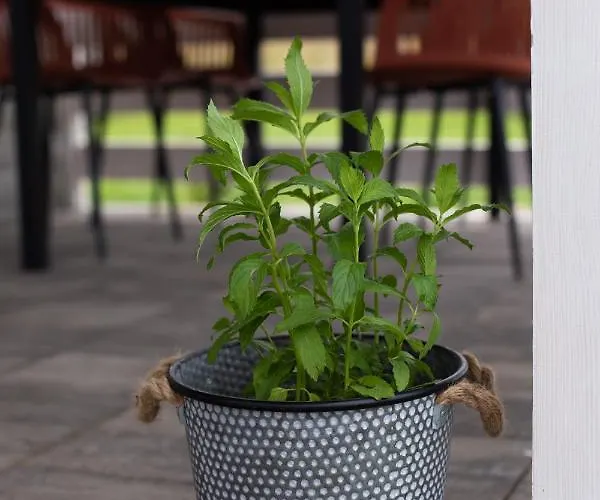 Casa de Férias Wielka Woda Dywan