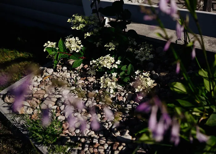 Wielka Woda Dom wakacyjny Dywan